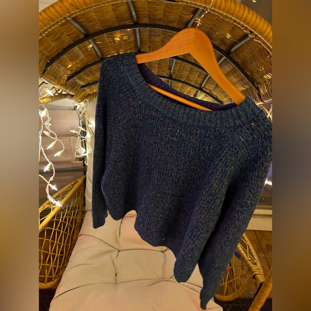 Express Multicolor Thread Blue Sweater